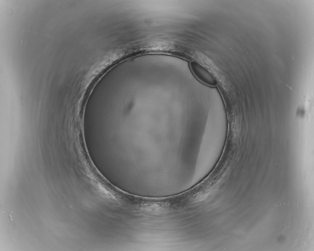 X0000094060721200711021444