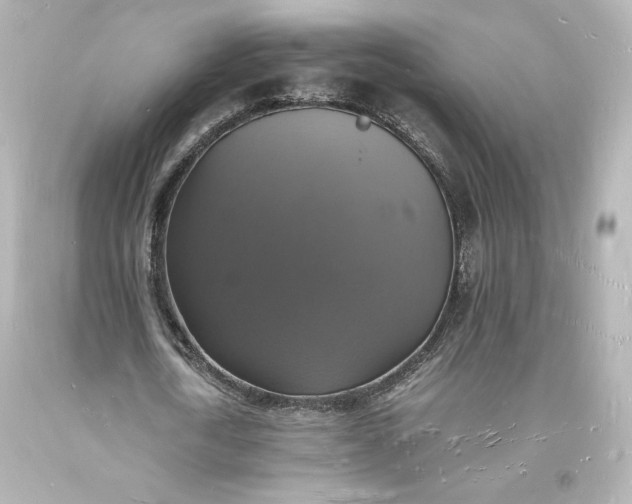 X0000094060722200711021444