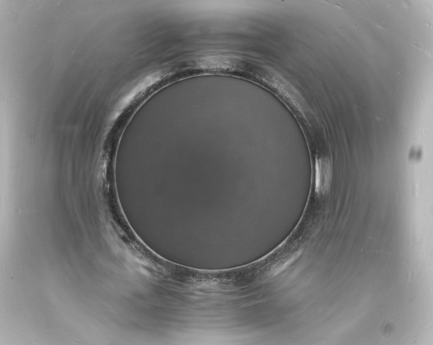 X0000094060723200711021444