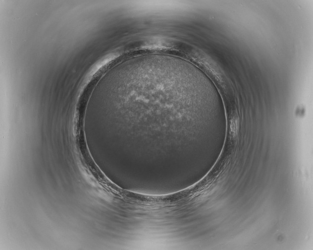 X0000094060724200711021444