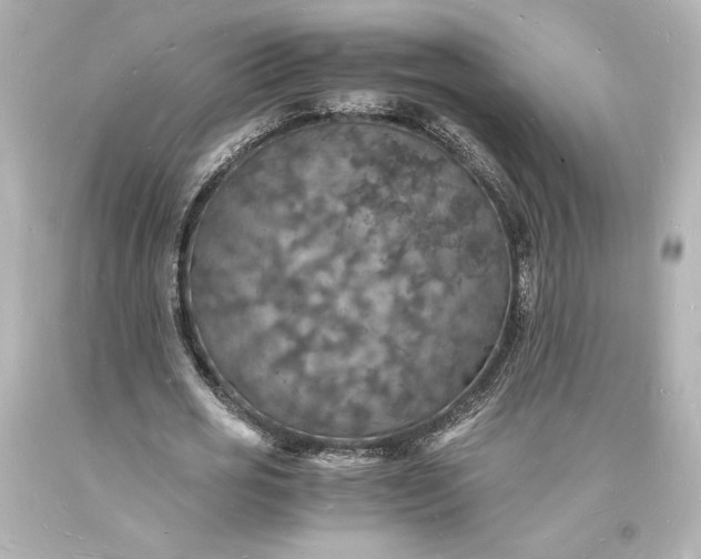 X0000094060725200711021444