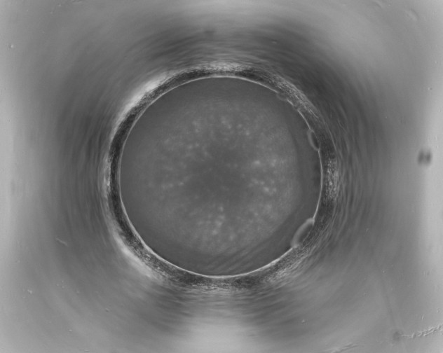 X0000094060726200711021445