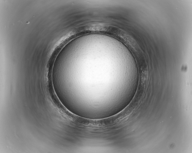 X0000094060727200711021445