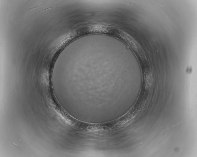 X0000094060729200711021445