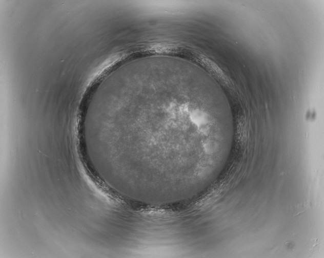 X0000094060730200711021445