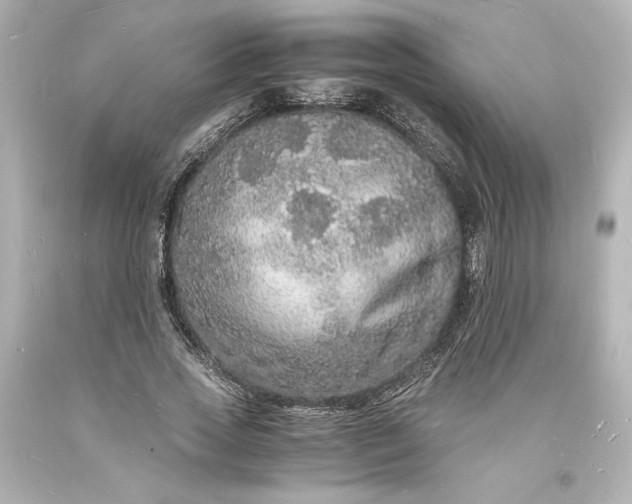 X0000094060733200711021445