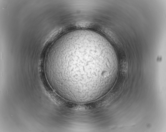 X0000094060738200711021445