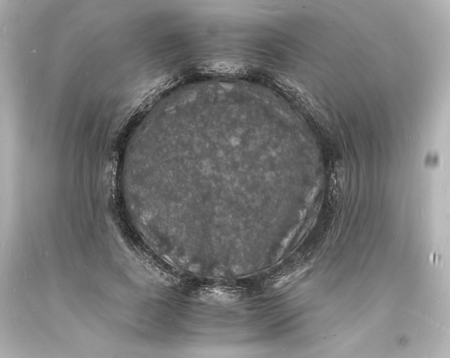X0000094060739200711021445
