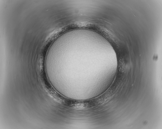 X0000094060740200711021445