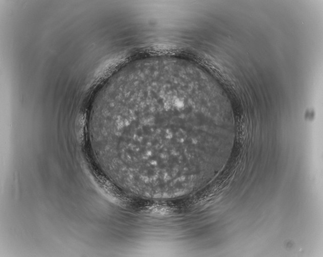 X0000094060742200711021445
