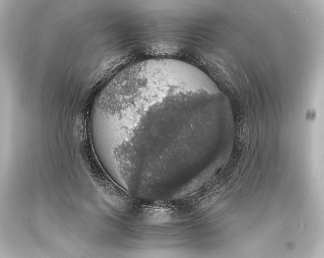 X0000094060743200711021445