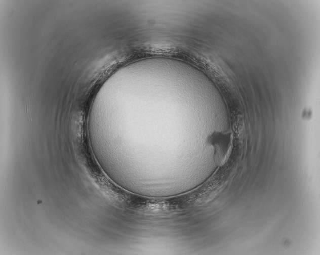 X0000094060744200711021445