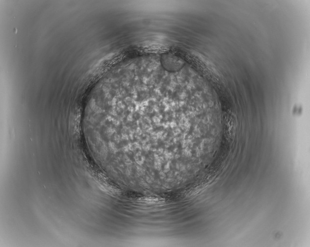 X0000094060745200711021445