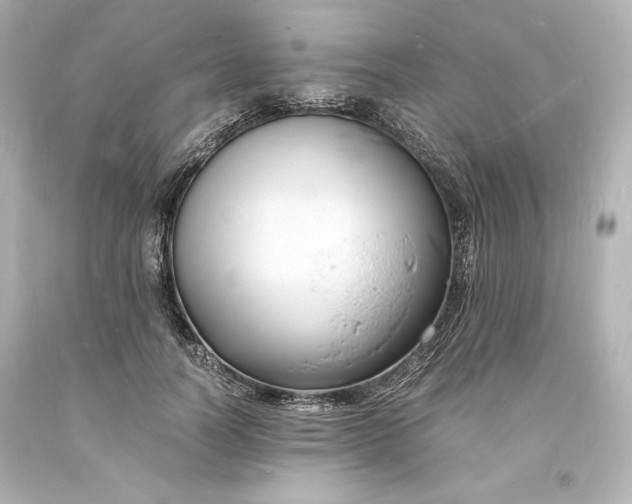 X0000094060746200711021445