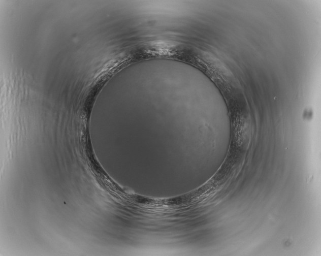 X0000094060747200711021445