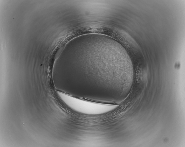 X0000094060748200711021445