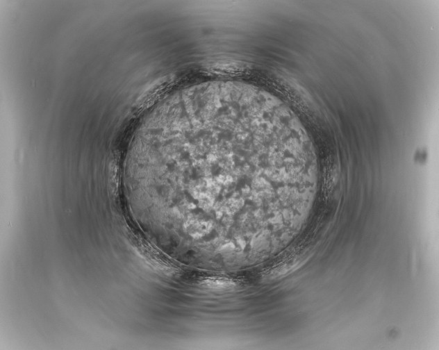 X0000094060749200711021445