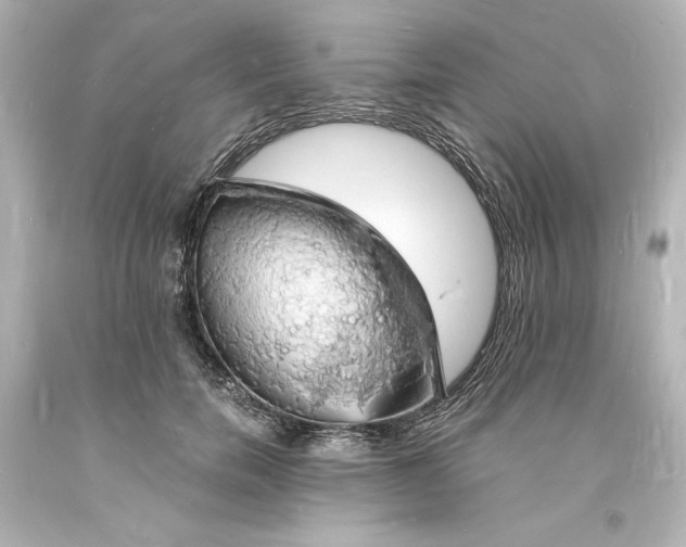X0000094060750200711021445