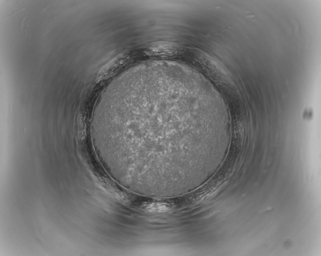 X0000094060751200711021445