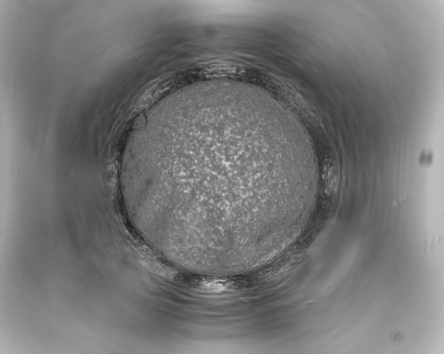 X0000094060753200711021445