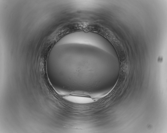 X0000094060754200711021445