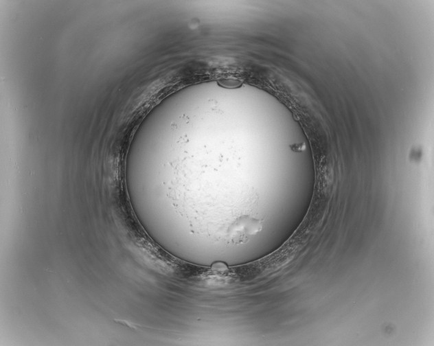 X0000094060756200711021445
