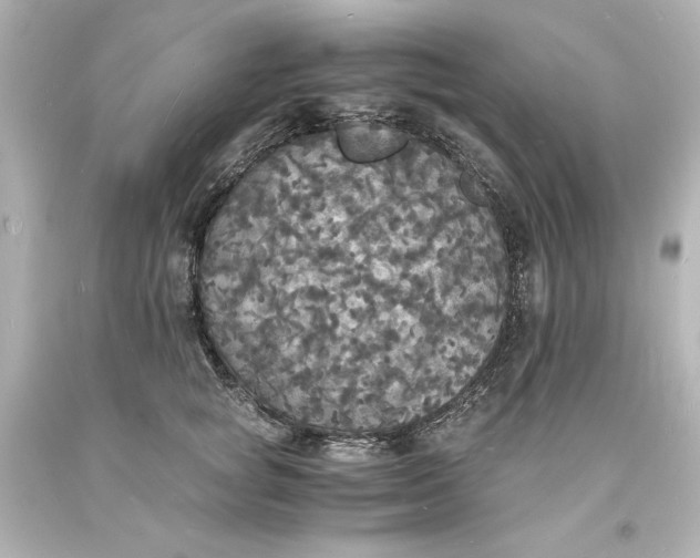 X0000094060757200711021445