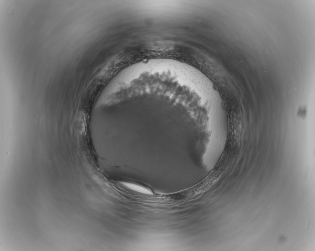X0000094060758200711021445