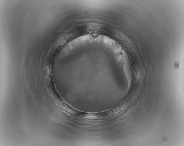 X0000094060759200711021445