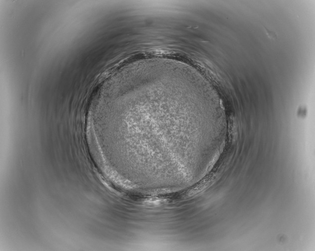 X0000094060760200711021445