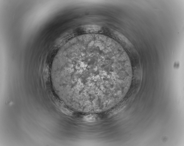 X0000094060761200711021445