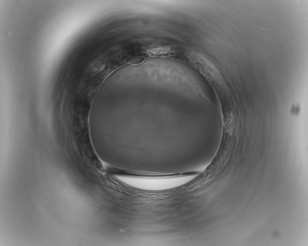 X0000094060763200711021445