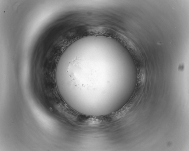 X0000094060764200711021445
