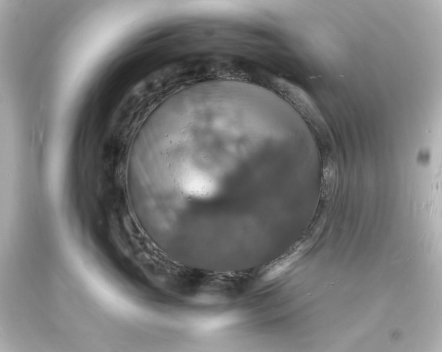 X0000094060765200711021445