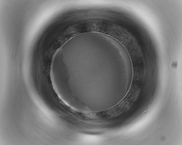 X0000094060766200711021445