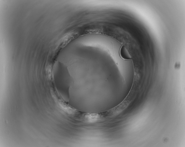 X0000094060767200711021445