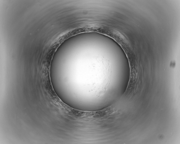 X0000094060773200711021444