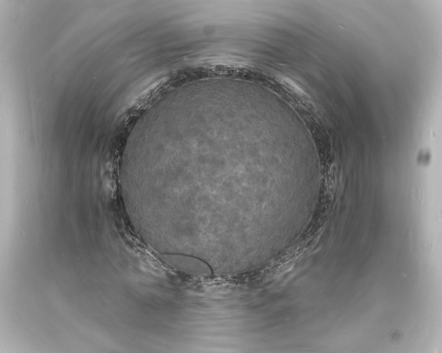 X0000094060774200711021444