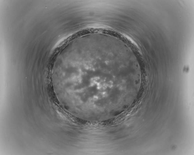 X0000094060775200711021444