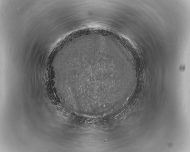 X0000094060776200711021444