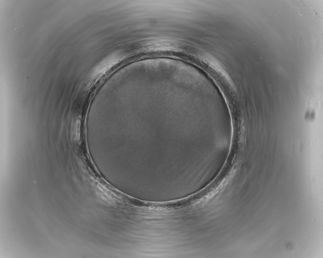 X0000094060777200711021444