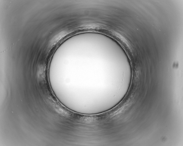 X0000094060778200711021444