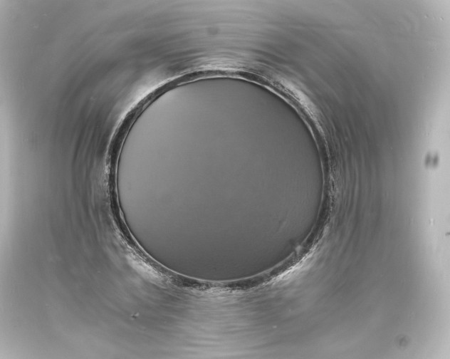 X0000094060779200711021444