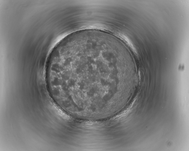 X0000094060780200711021444
