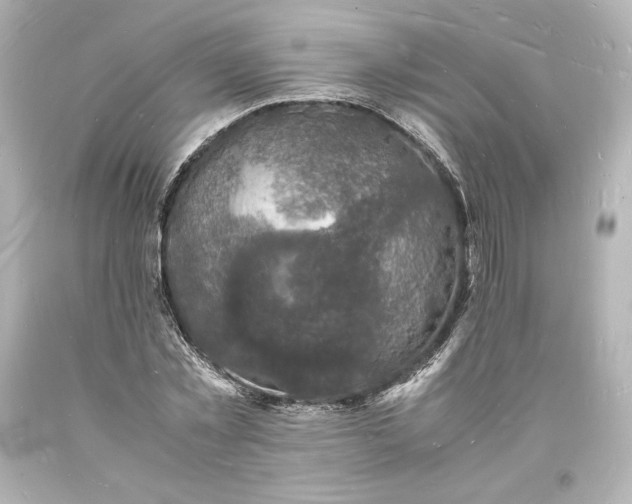 X0000094060781200711021444