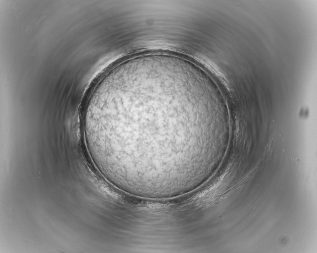 X0000094060782200711021444