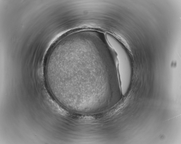 X0000094060784200711021444