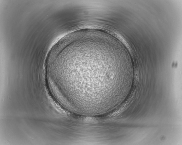 X0000094060787200711021444