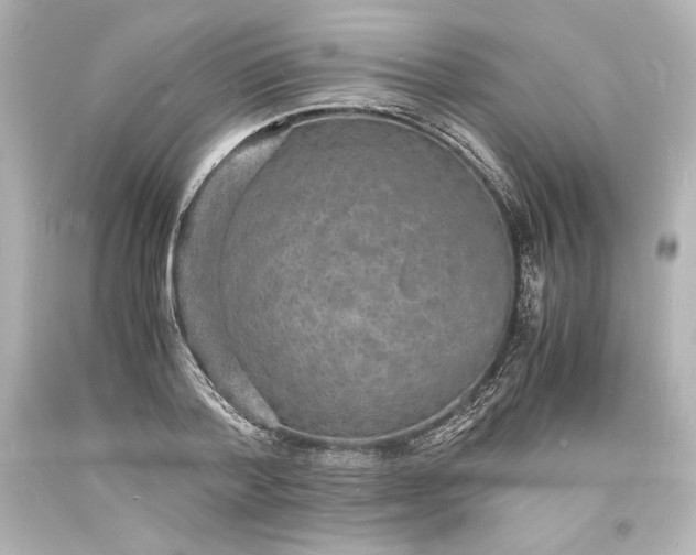 X0000094060788200711021444