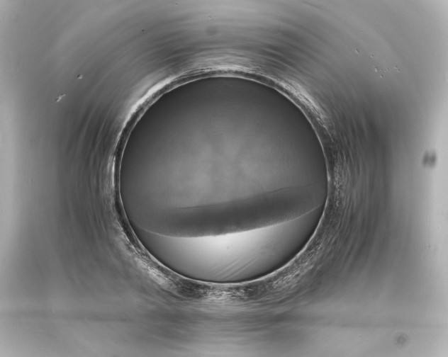 X0000094060790200711021444